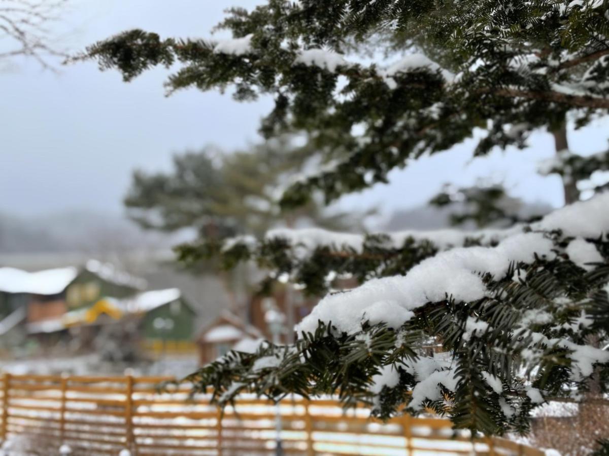 Honey Bear Pension Pyeongchang Dış mekan fotoğraf